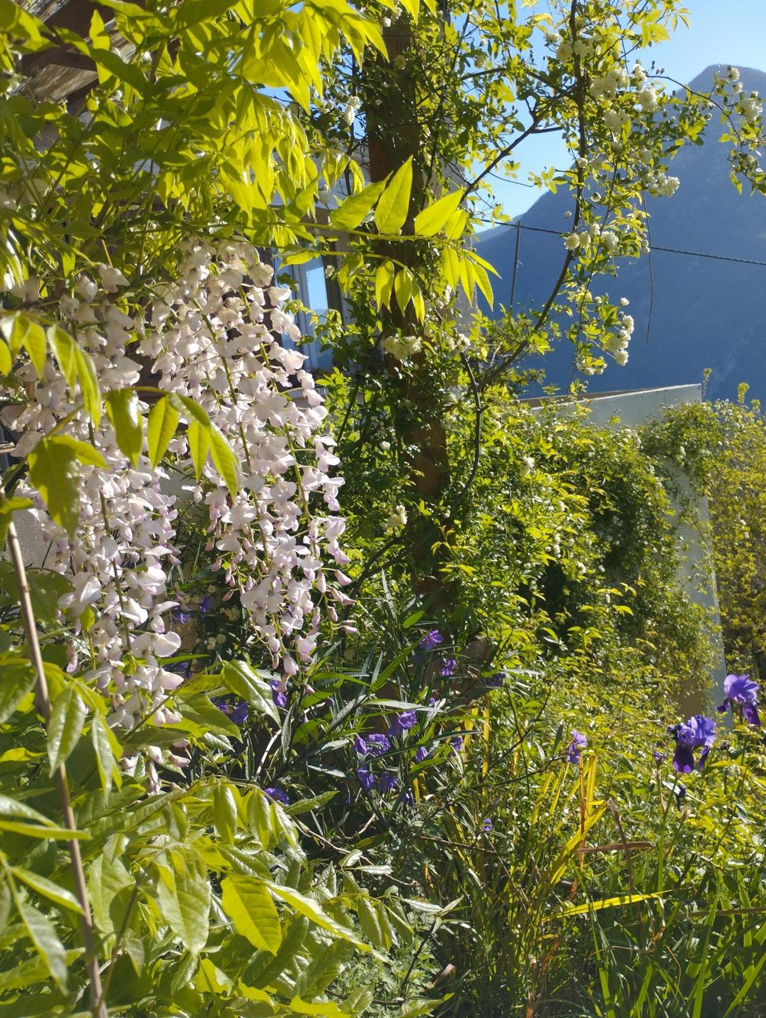 Modestie Villa Breil-sur-Roya Exterior photo